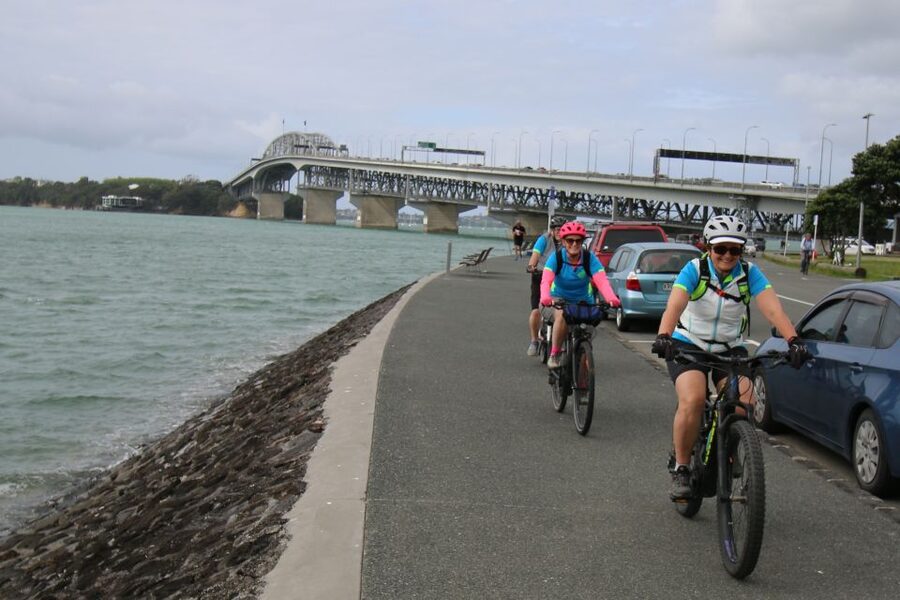 Auckland Half-Day Ebike Tour Excursion - The Opunuku Stream cycleway and old western Auckland