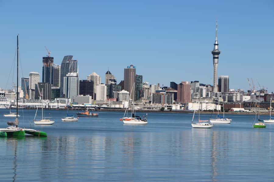 Auckland: Half-Day Scenic Sightseeing Tour - Auckland in four hours: a useful first look