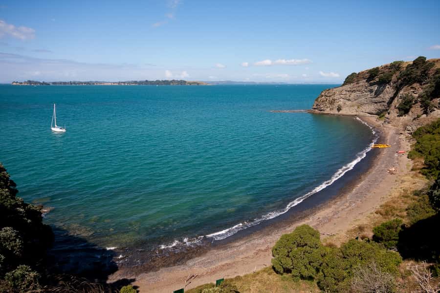 Auckland: Half-Day Sea Kayak Tour to Motukorea Island - Why Motukorea makes a fine Auckland outing