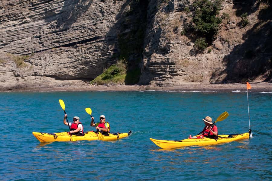 Auckland: Half-Day Sea Kayak Tour to Motukorea Island - Meeting at St Heliers Beach