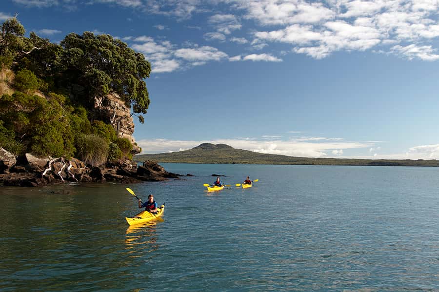 Auckland: Half-Day Sea Kayak Tour to Motukorea Island - The paddle across the Hauraki Gulf