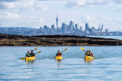 Half-Day Sea Kayak Tour to Motukorea Island