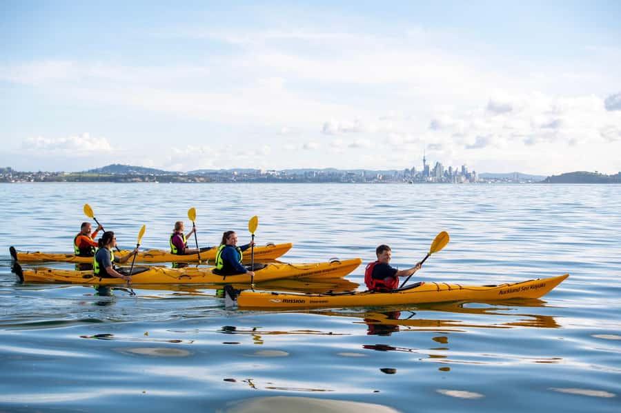 Auckland: Half-Day Sea Kayak Tour to Motukorea Island - Landing on Motukorea Island