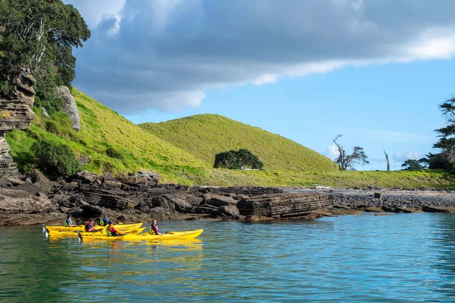 Auckland: Half-Day Sea Kayak Tour to Motukorea Island - The summit and the views