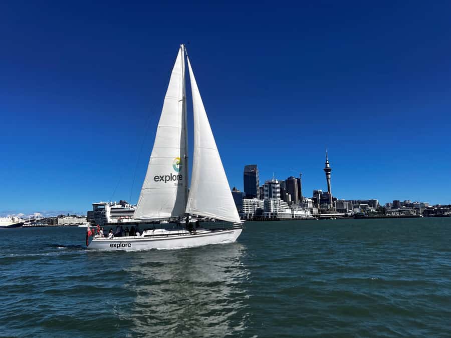 Auckland Harbour 1.5-Hour Sailing Cruise - Boarding at Viaduct Harbour