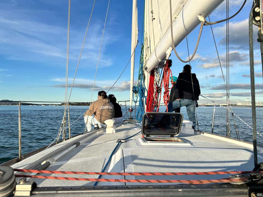 Auckland Harbour 1.5-Hour Sailing Cruise - How the $65 price measures up