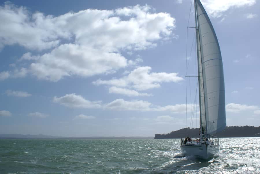Auckland Harbour 1.5-Hour Sailing Cruise - Who will enjoy this cruise most