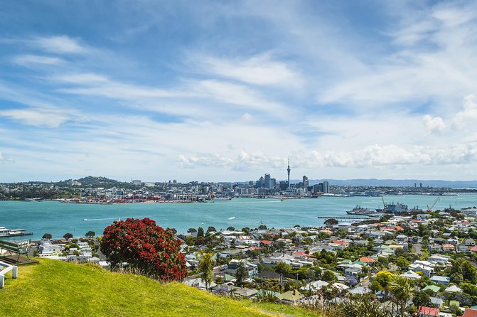Auckland Harbour Cruise - How the weather changes the experience