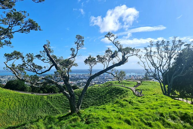 Auckland Hidden Gem Half Day Tour - Why this route works in only half a day
