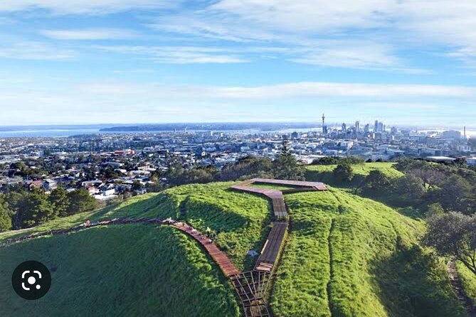 Auckland Hidden Gem Half Day Tour - Auckland Domain Wintergardens: a calm change of pace