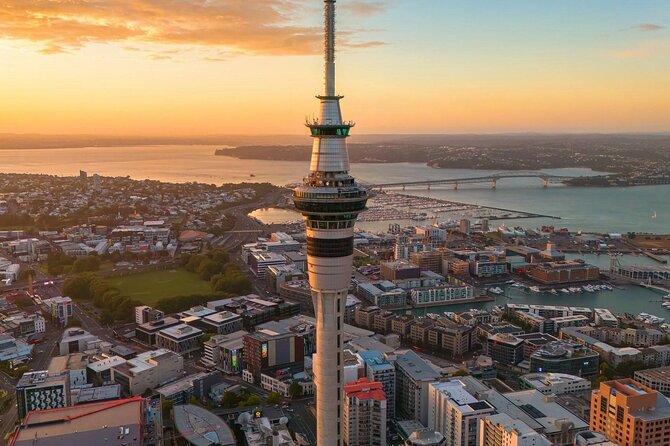 Auckland Highlight Attractions Small Group Tour - A compact way to see Auckland’s many sides
