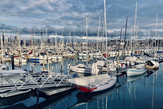 Auckland Highlight Attractions Small Group Tour - Mission Bay: finish beside the Waitematā Harbour