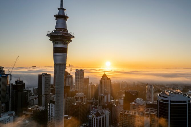 Auckland Highlight Attractions Small Group Tour - How Sam’s guiding style affects the experience