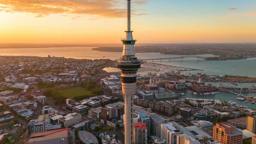Auckland Highlight Attractions Small Group Tour - Who will get the most from this tour?