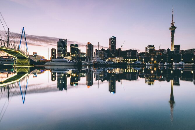 Auckland Highlight Attractions Small Group Tour - Auckland Harbour Bridge: a quick look at the city’s main crossing