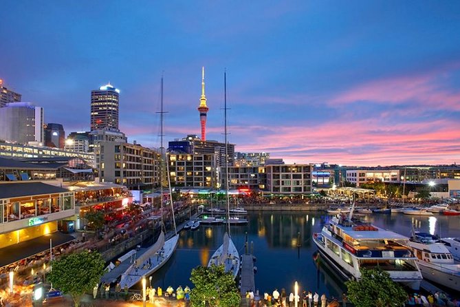Auckland Highlight Fullday City Tour - Mount Eden and One Tree Hill: Auckland from above