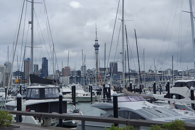 Auckland Highlights Full Day Guided Tour - One day, two very different Aucklands