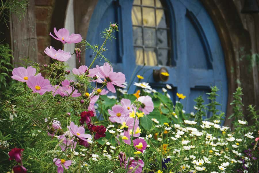 Auckland: Hobbiton and Rotorua Day Tour including Te Puia - Key points at a glance