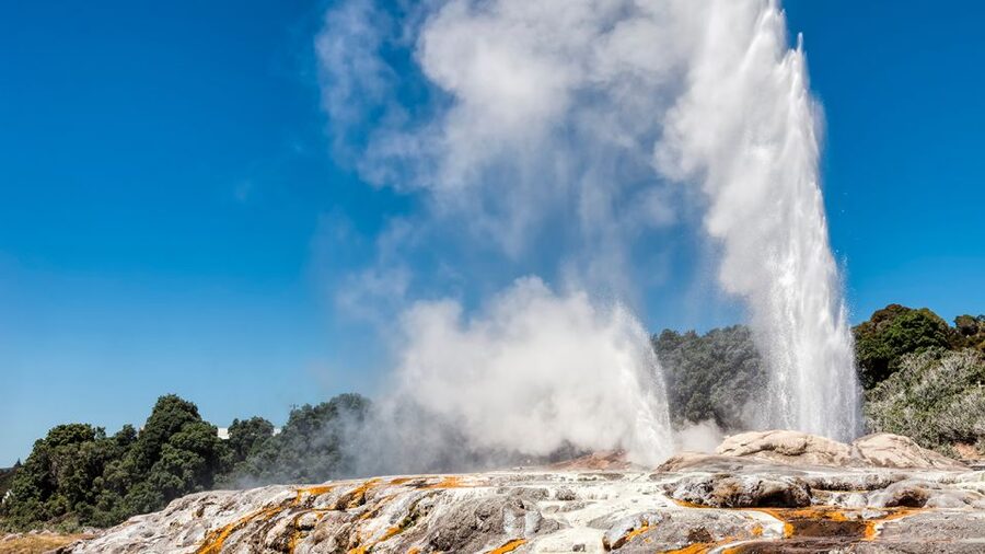 Auckland: Hobbiton and Rotorua Day Tour including Te Puia - Should you book the Hobbiton and Te Puia day tour?