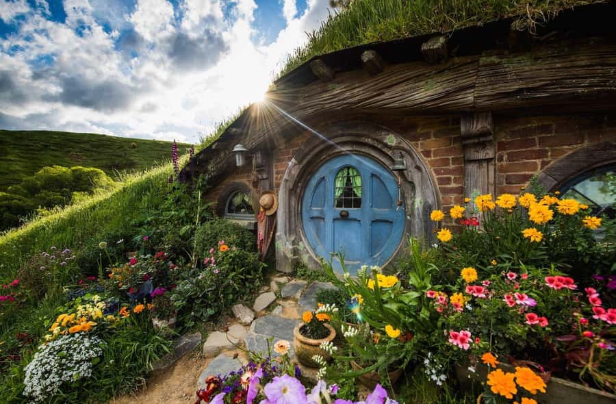 Auckland: Hobbiton Movie Set Day Trip with Festive Lunch - Your first look at the Hobbiton set