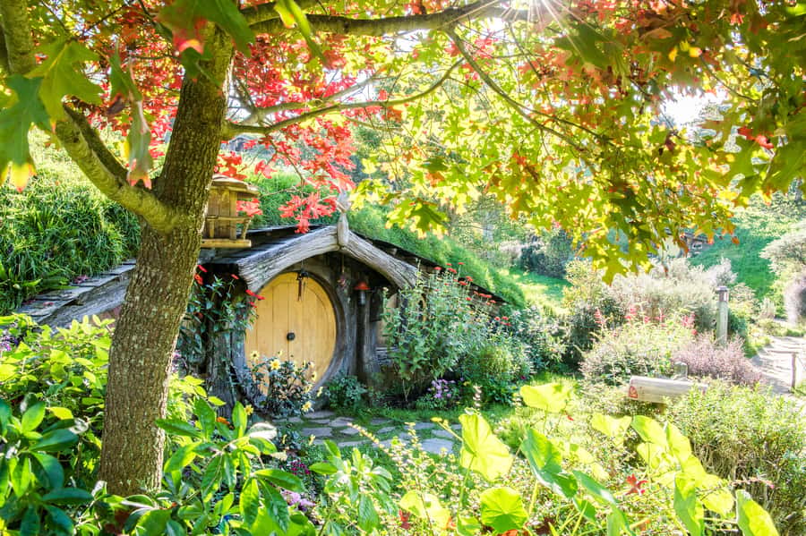 Auckland: Hobbiton Movie Set Tour with Lunch - Key points to know before you book