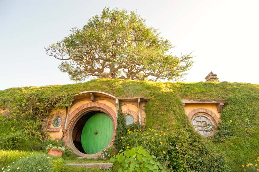Auckland: Hobbiton Movie Set Tour with Lunch - A few smart ways to make the day better