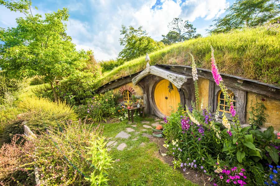 Auckland: Hobbiton Movie Set Tour with Lunch - The $245 price and what you receive