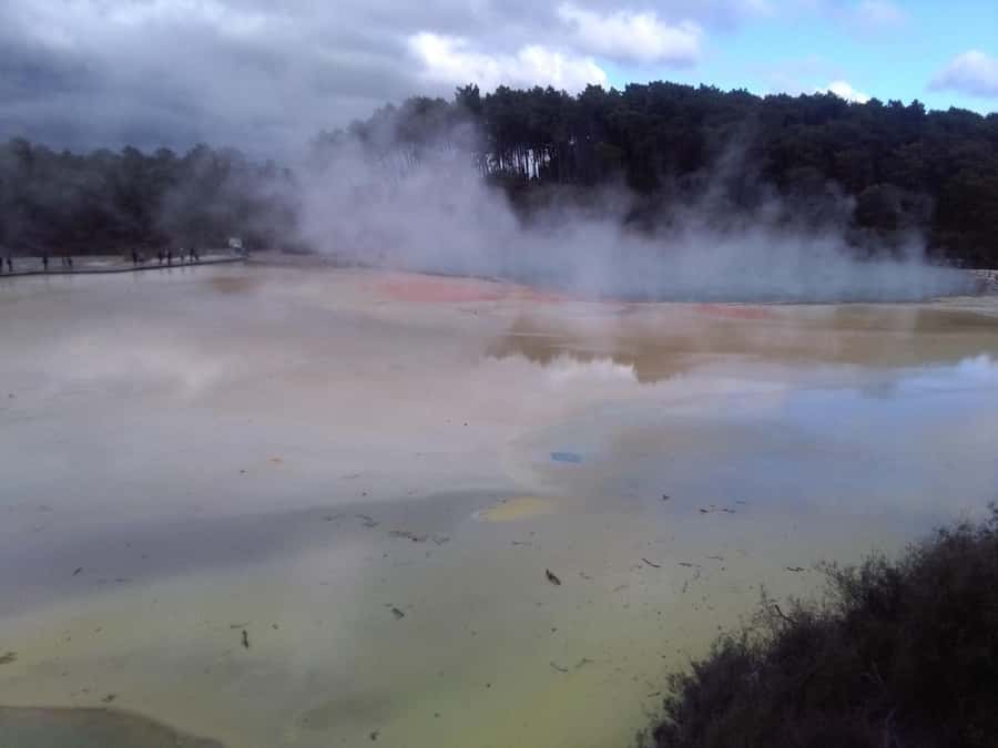 Auckland: Hobbiton, Rotorua, Waiotapu and Waitomo 3-Day Tour - Day one: Hobbiton, Te Puia and a Mitai evening