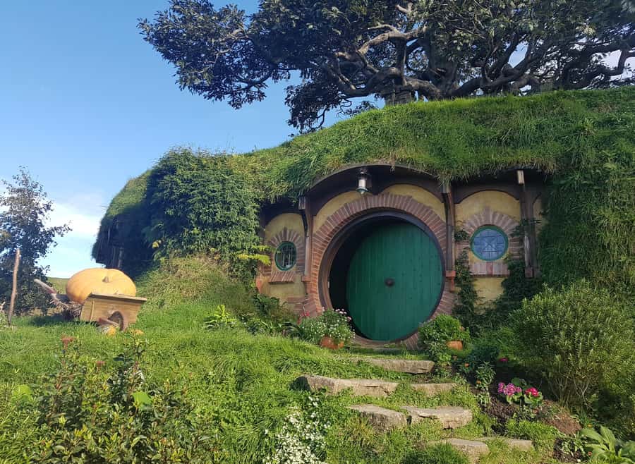 Auckland: Hobbiton, Rotorua, Waiotapu and Waitomo 3-Day Tour - Day two: Waiotapu, Taupo and open time for your own meal