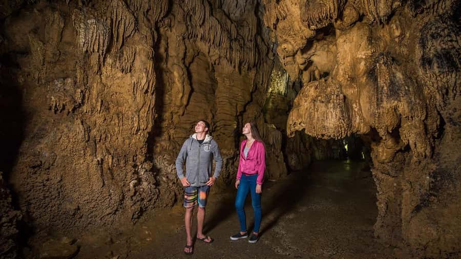 Auckland: Hobbiton, Waitomo Caves, and Rotorua 1-Way Tour - Is $256 a fair price?