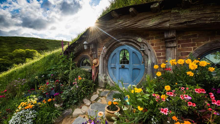 Auckland: Hobbiton & Waitomo Caves Small-Group Tour & Lunch - Who should book this day trip?