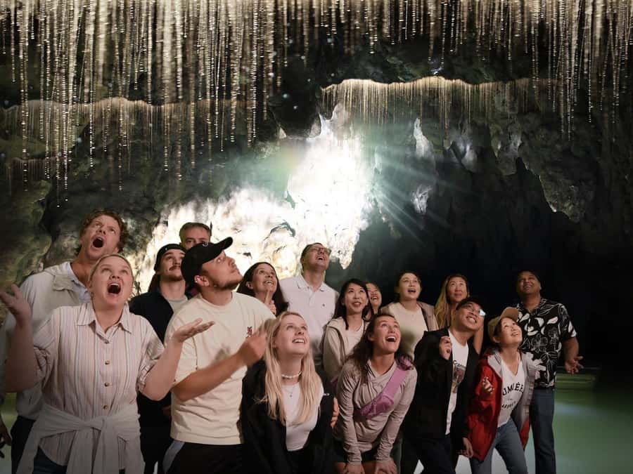 Auckland: Hobbiton & Waitomo Caves Small-Group Tour & Lunch - Waitomo Glowworm Caves and the grotto boat