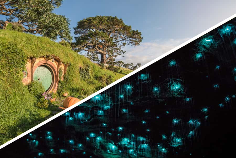 Auckland: Hobbiton & Waitomo Caves Small-Group Tour & Lunch - From Auckland into Waikato country