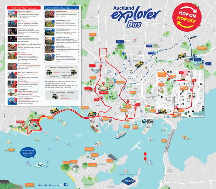 Auckland: Hop-On Hop-Off Explorer Bus Ticket - The Blue Summer Tour: Mount Eden, the zoo, and MOTAT