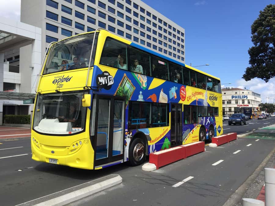 Auckland: Hop-On Hop-Off Explorer Bus Ticket - Should you book Auckland’s Explorer Bus?
