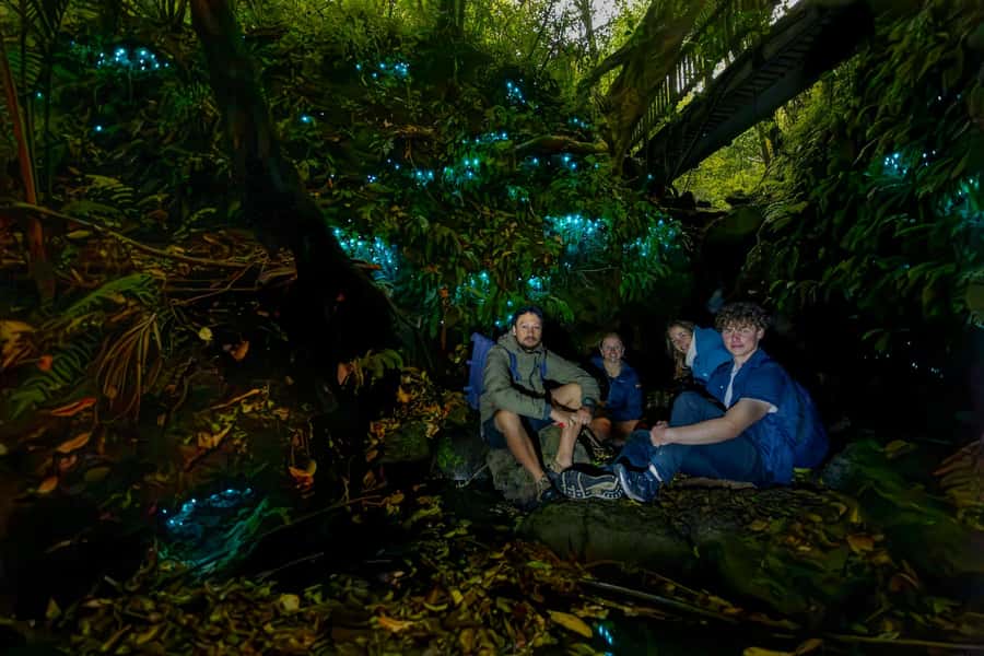 Auckland: Inner-City Glowworm Experience in Ancient Volcano - Meeting at Wintergarden Cafe