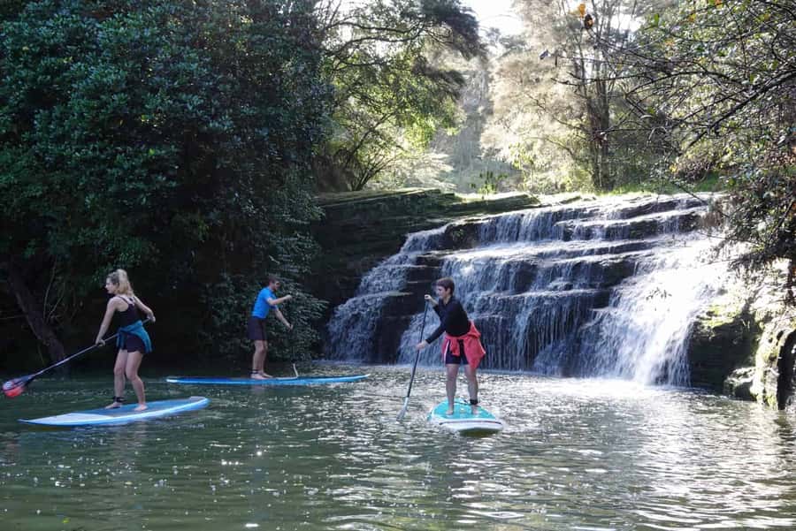 Auckland: Lucas Creek Waterfall SuP Tour - Lucas Creek Waterfall SUP Tour at a glance
