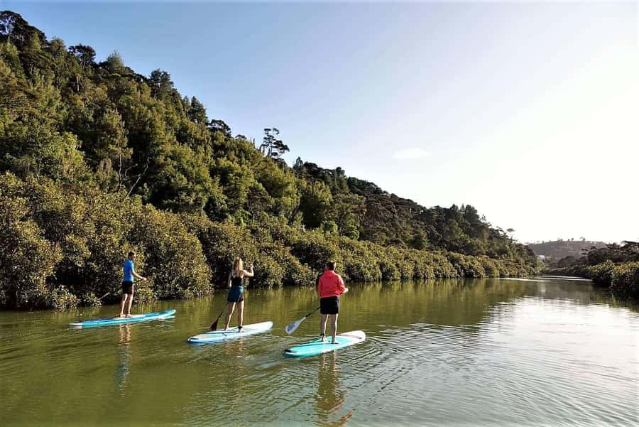 Auckland: Lucas Creek Waterfall SuP Tour - Why this short Auckland paddle is worth your time