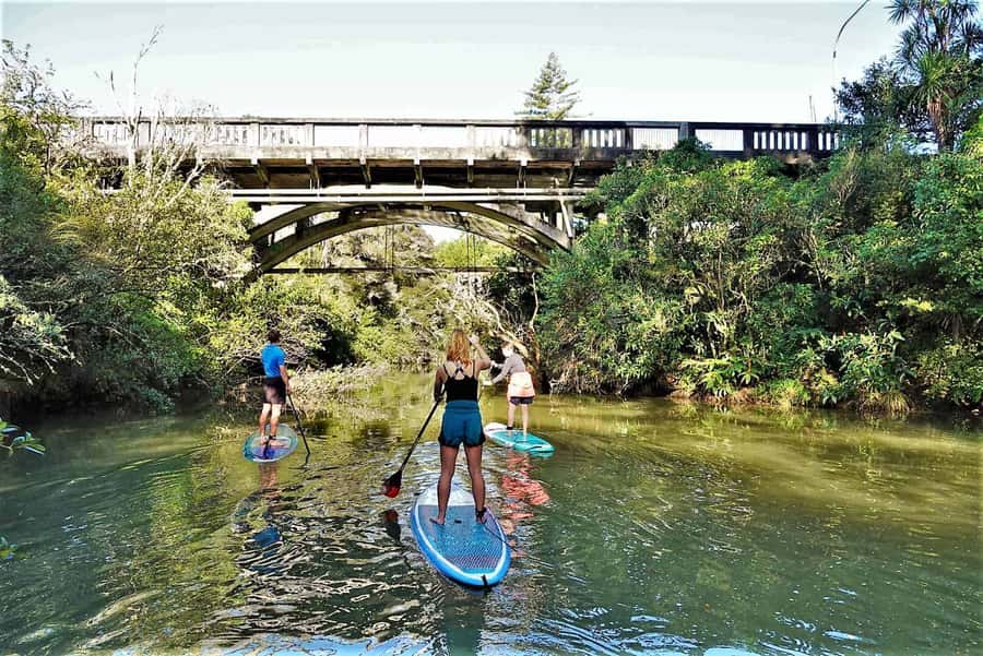 Auckland: Lucas Creek Waterfall SuP Tour - The first 30 minutes: learning the board and paddle