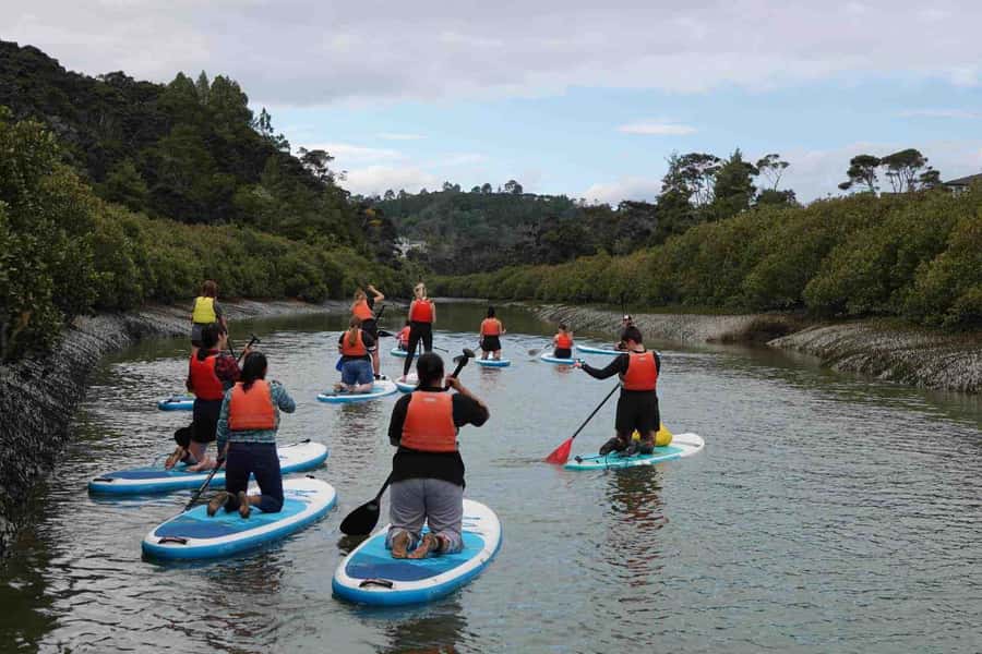 Auckland: Lucas Creek Waterfall SuP Tour - Meeting at 31 Wharf Road in Albany