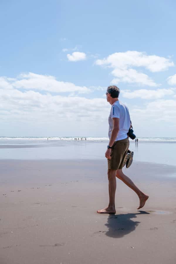 Auckland: Mt. Eden, Piha Beach & Karekare Private Tour - Key points to know before booking