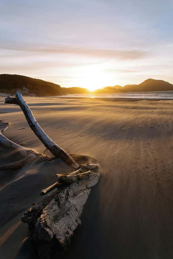 Auckland: Mt. Eden, Piha Beach & Karekare Private Tour - Piha Beach brings the west coast drama