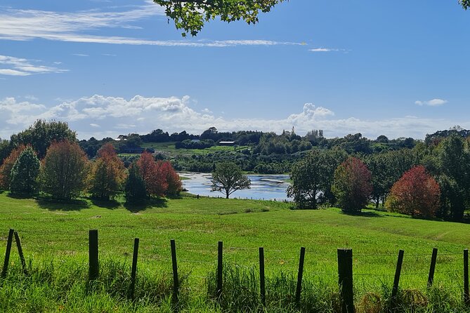 Auckland Nature Tour - Why this Auckland nature tour works