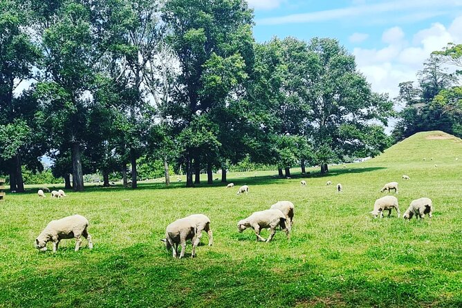 Auckland Nature Tour - Ayrlies Garden and Wetlands: the day’s main attraction