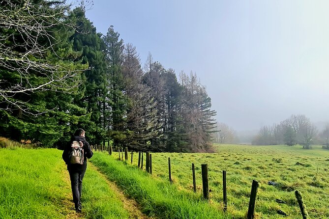 Auckland Nature Tour - The scenic drive is part of the experience