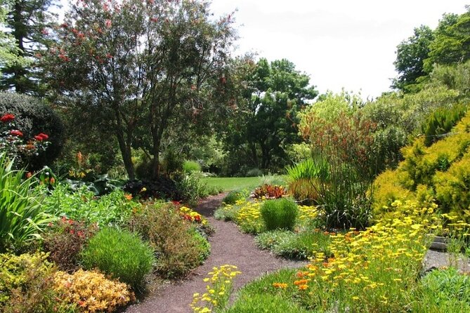 Auckland Nature Tour - Price, group size, and what you receive