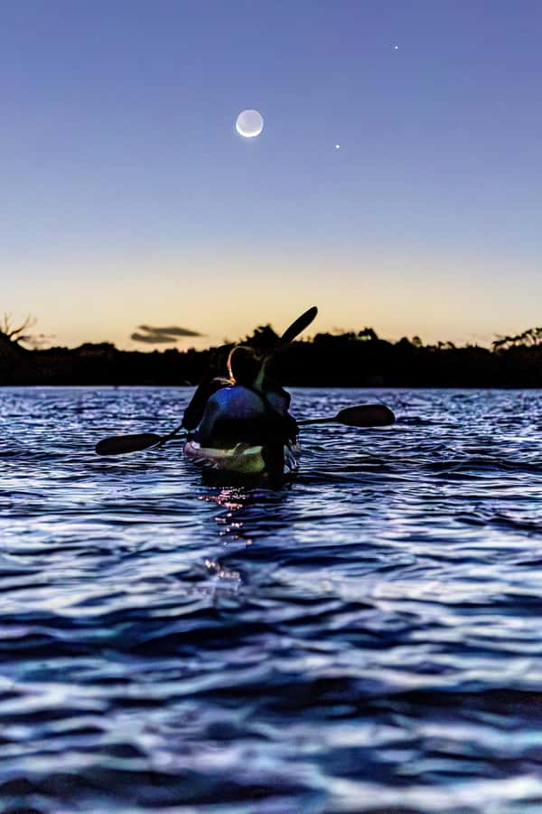 Auckland: Night Kayak Tour in Glowing Bioluminescent Waters - Why the sea glows after sunset