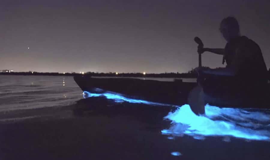 Auckland: Night Kayak Tour in Glowing Bioluminescent Waters - Arriving at Okura Boat Ramp or Waiake Beach