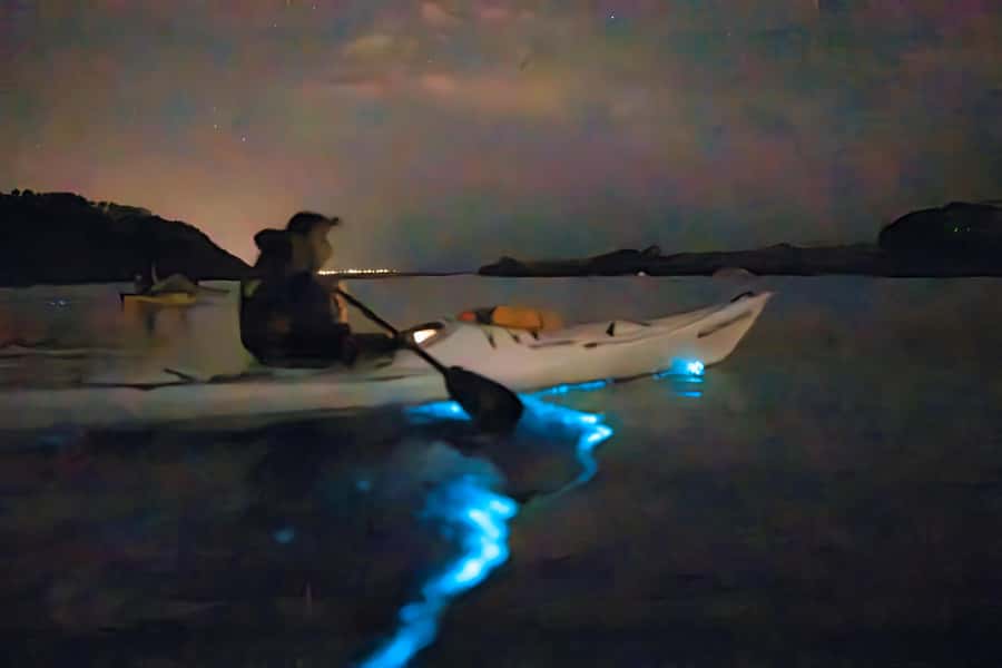 Auckland: Night Kayak Tour in Glowing Bioluminescent Waters - A 75-minute paddle through the dark
