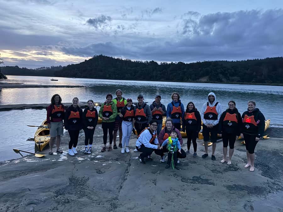 Auckland: Night Kayak Tour in Glowing Bioluminescent Waters - How much value do you get for $56?